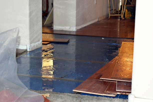 Professional Water Damage Restoration technician working in Windsor, IL